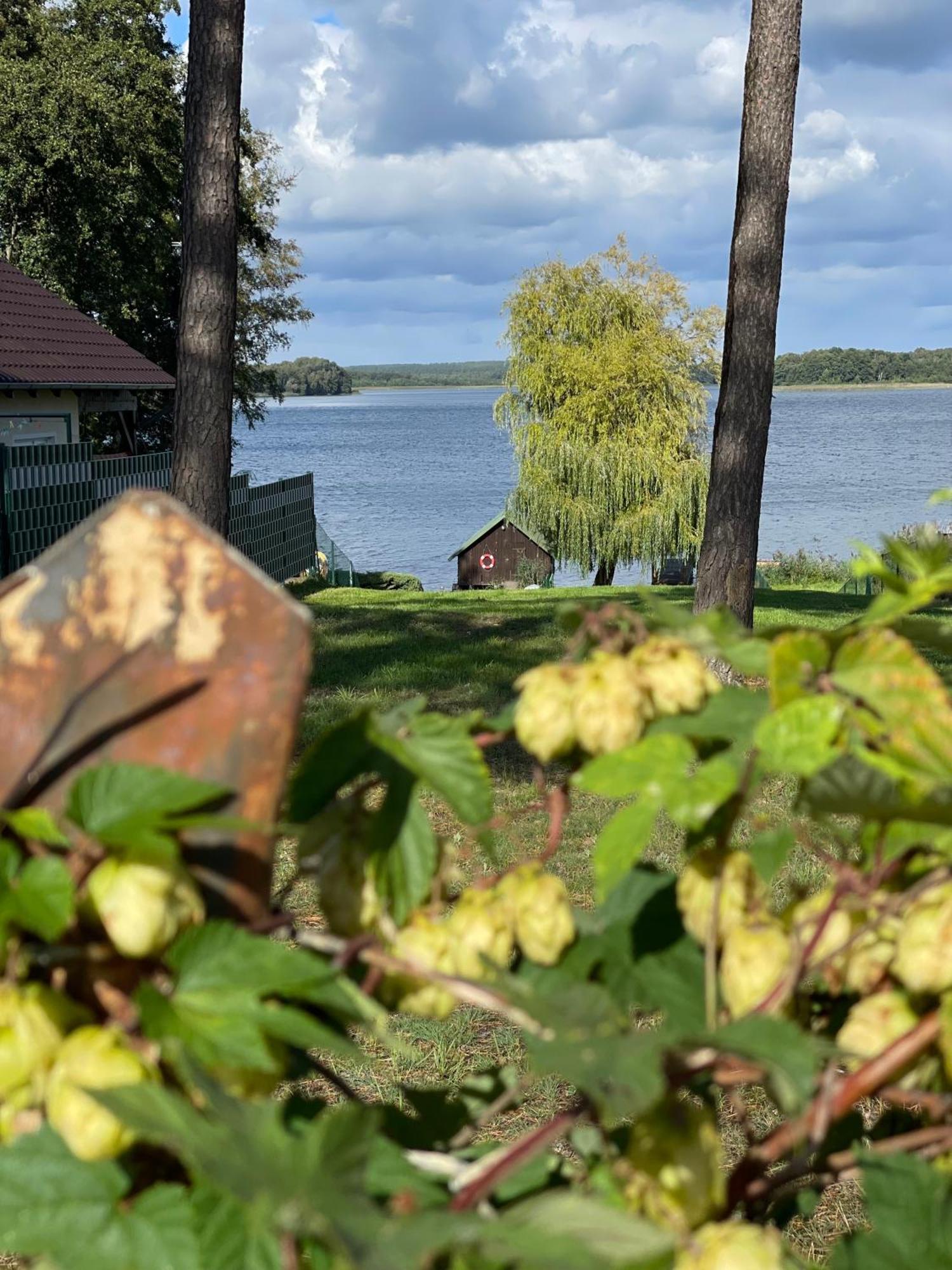 Urlaub Am Plaetlinsee - Haus Odin Wustrow  Εξωτερικό φωτογραφία